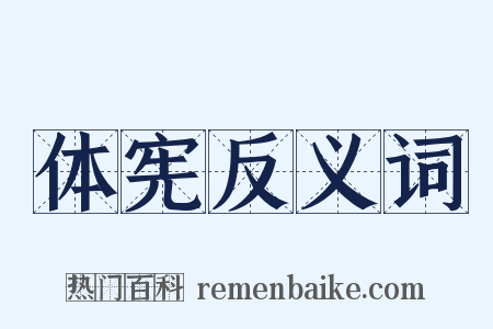 体宪反义词是什么意思的图片